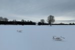 210119-12.58a-Winterfliegen-Januar-2021