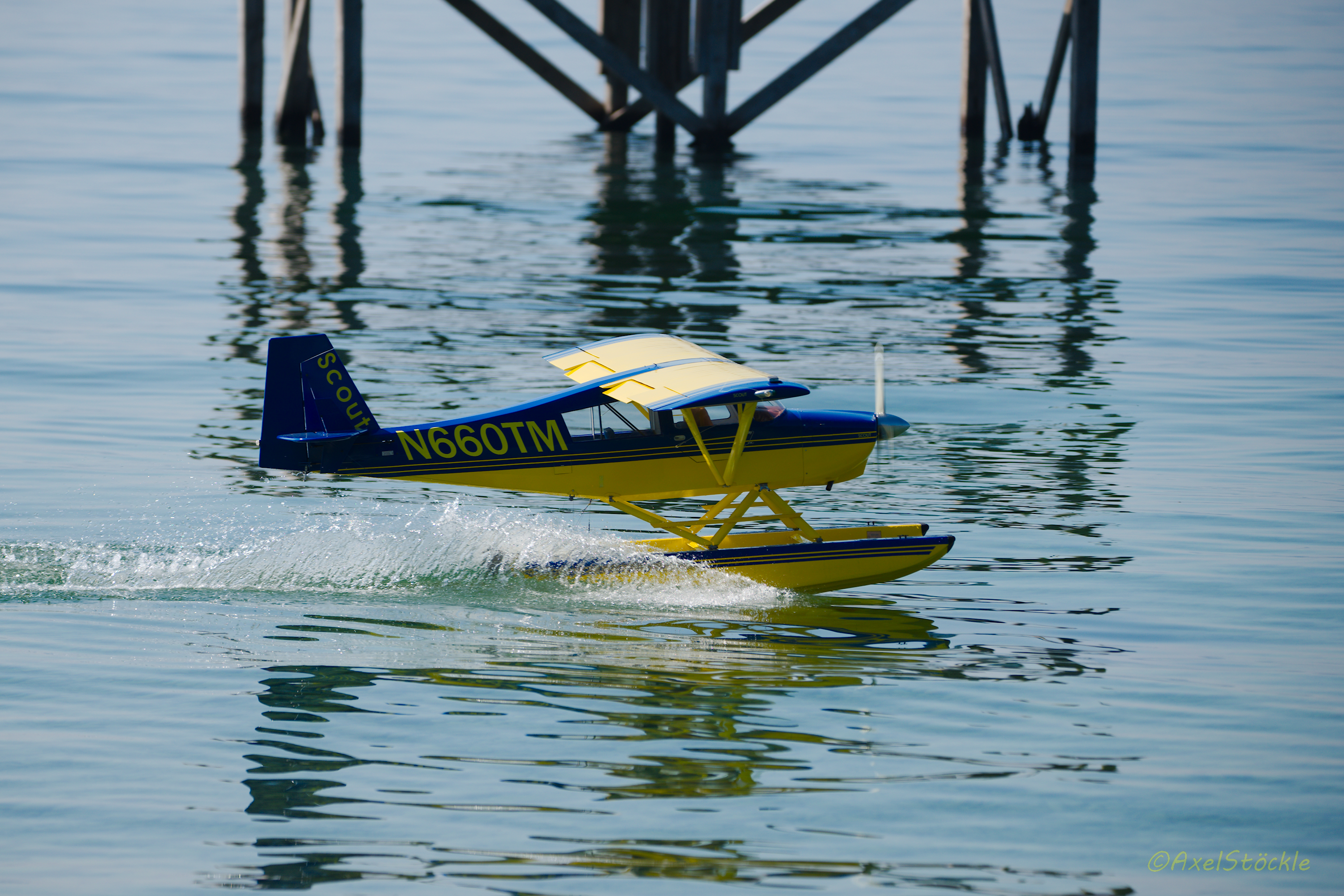 Slide 8 Wasserfliegen