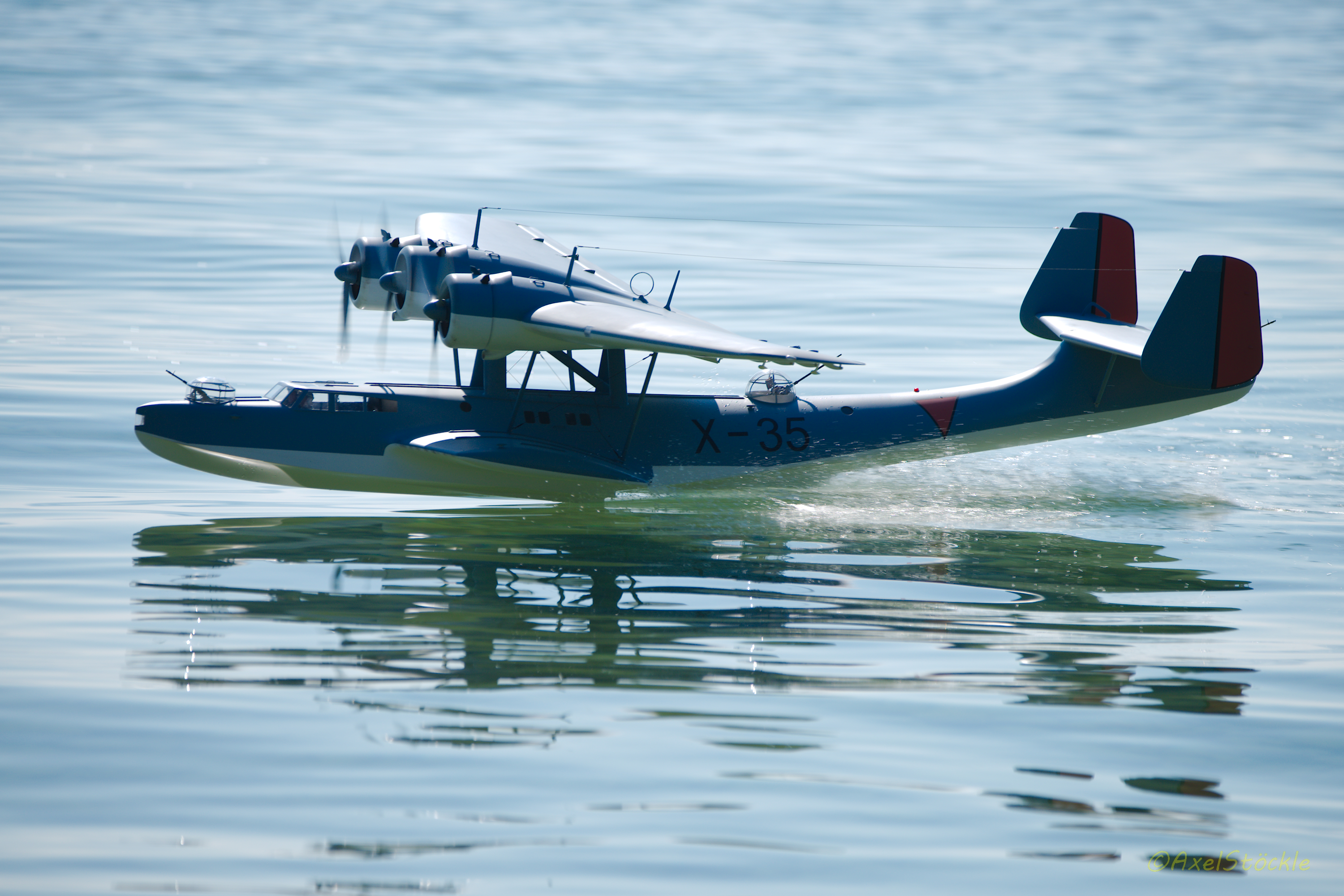 Slide 10 Wasserfliegen